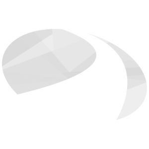 Rollator luchtbanden set